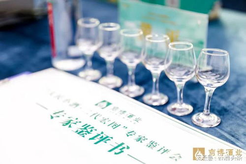 上市当天签约过亿,这是谁的 宏图